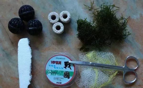 垂泪莫斯和三角莫斯火焰莫斯,莫斯水草球做法