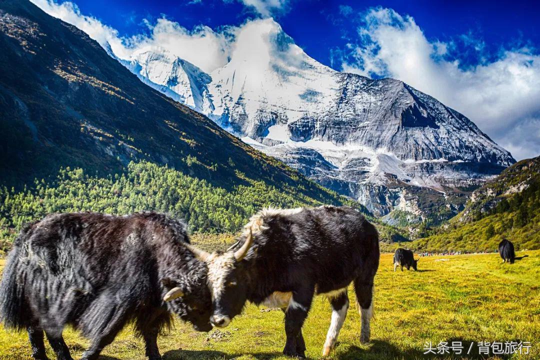 最适合和闺蜜一起去的国家,适合闺蜜去旅行的地方推荐