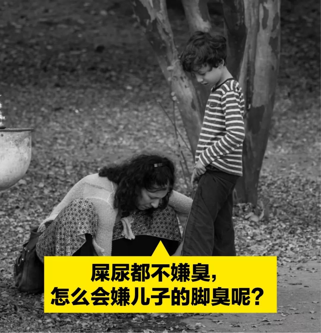 七个人爱情故事,七个人爱情故事大全