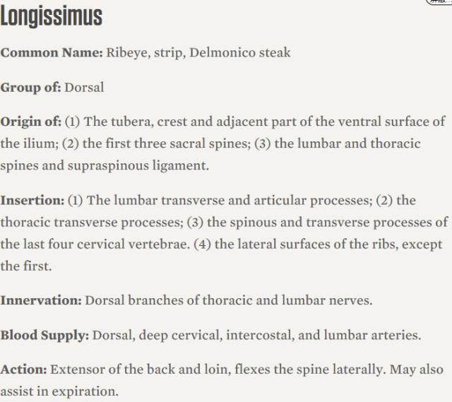 强烈安利视频大全,墙裂安利种草系列
