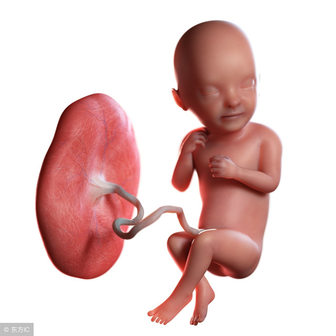 潍坊市医生韩鹏飞,阜城县人民医院韩鹏飞