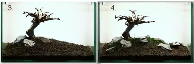 垂泪莫斯和三角莫斯火焰莫斯,莫斯水草球做法