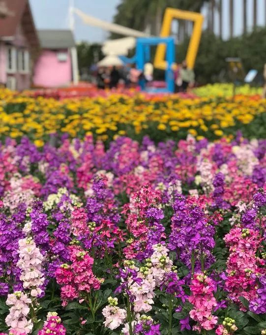 广州塔三八妇女节优惠,广州长隆欢乐世界三八妇女节