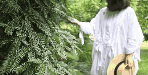 西施最爱的零食，恐龙时代已经存在，找遍整个中国才找到
