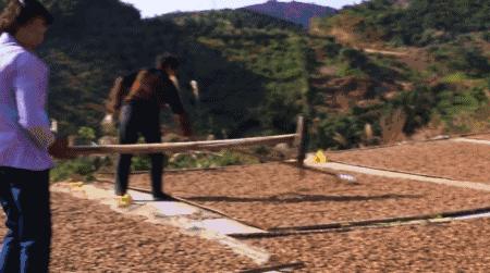 西施最爱的零食，恐龙时代已经存在，找遍整个中国才找到