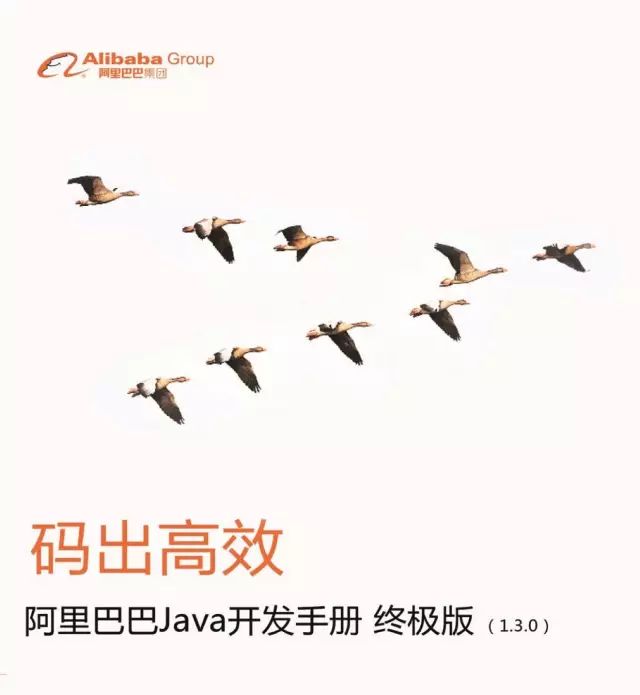 阿里java开发手册最新版,阿里巴巴java开发手册2022