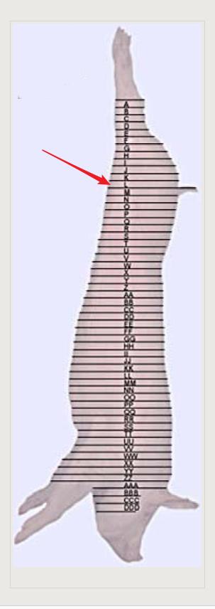 强烈安利视频大全,墙裂安利种草系列