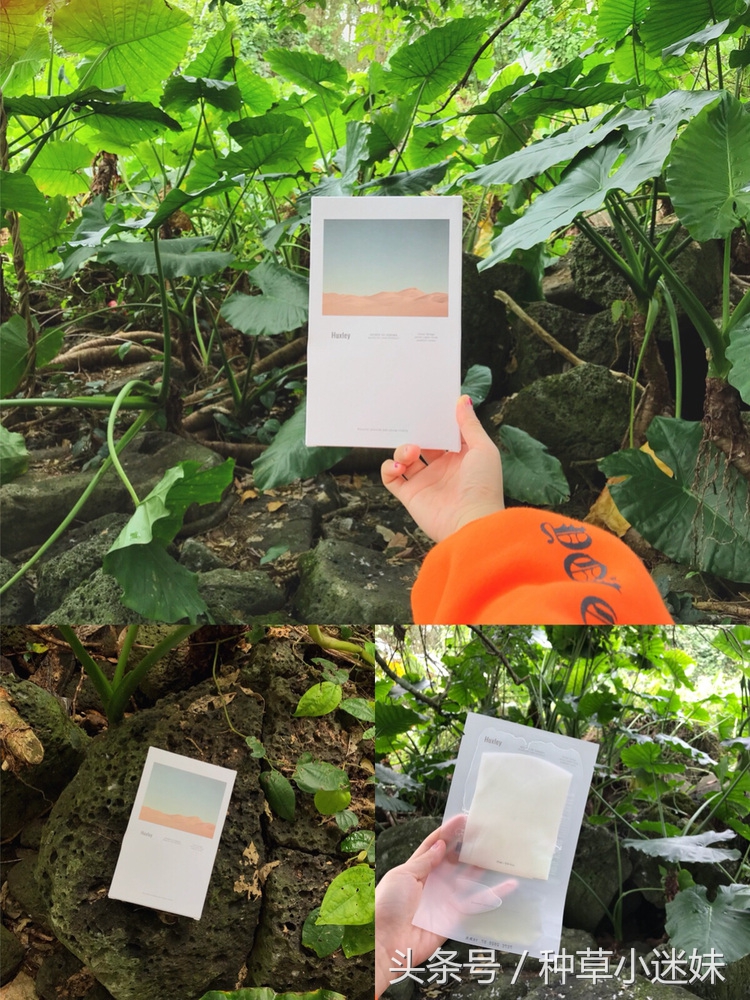 huxley仙人掌面膜推荐,huxley面膜真的有用吗