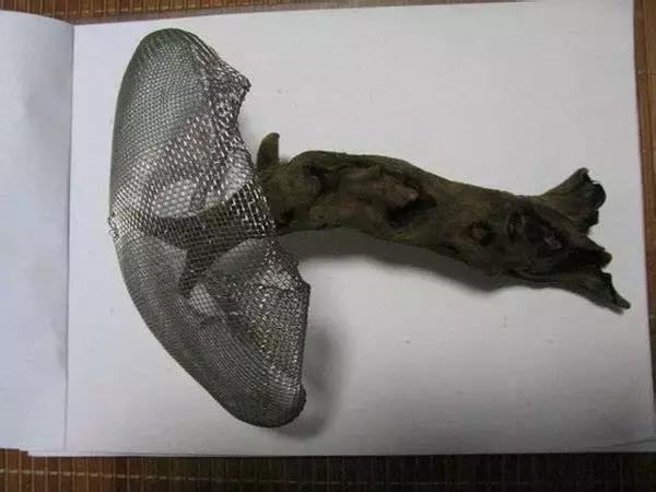 垂泪莫斯和三角莫斯火焰莫斯,莫斯水草球做法