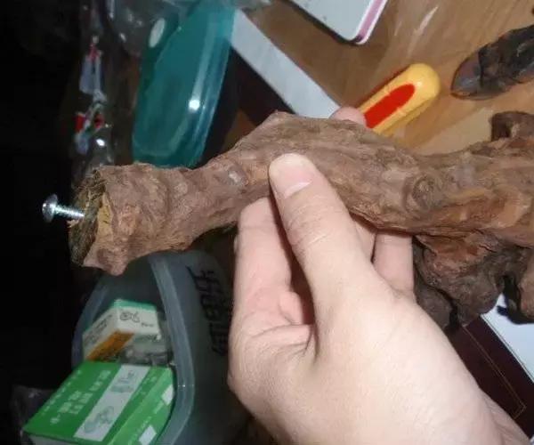 垂泪莫斯和三角莫斯火焰莫斯,莫斯水草球做法