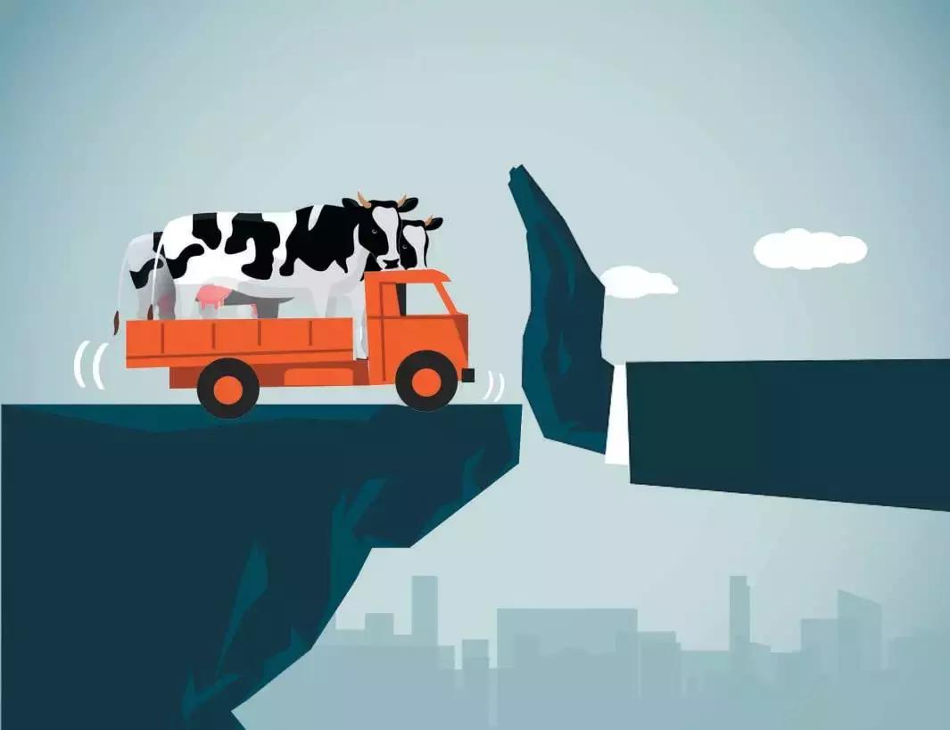 中鼎牧业大庆牧场,中鼎牧业上市