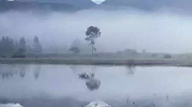 mist和mis,mist和toner