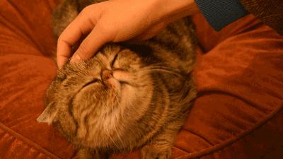 少女心沦陷！看完这7家粉粉粉粉出天际的店，不想去算我输