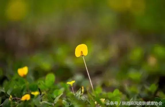春季皮肤病用药大全,春季幼儿皮肤病的预防与措施