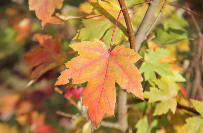 领导对你很防备,领导对你有这三个预兆