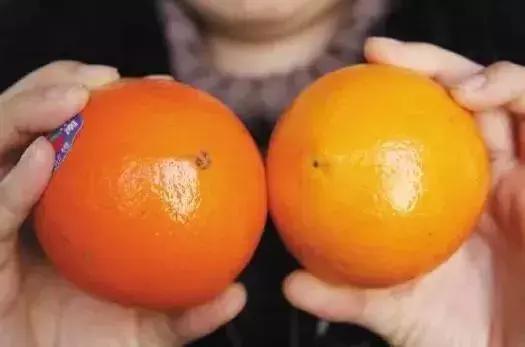 吃完橙子洗了手还是黏黏的,吃完橙子后用不用洗手