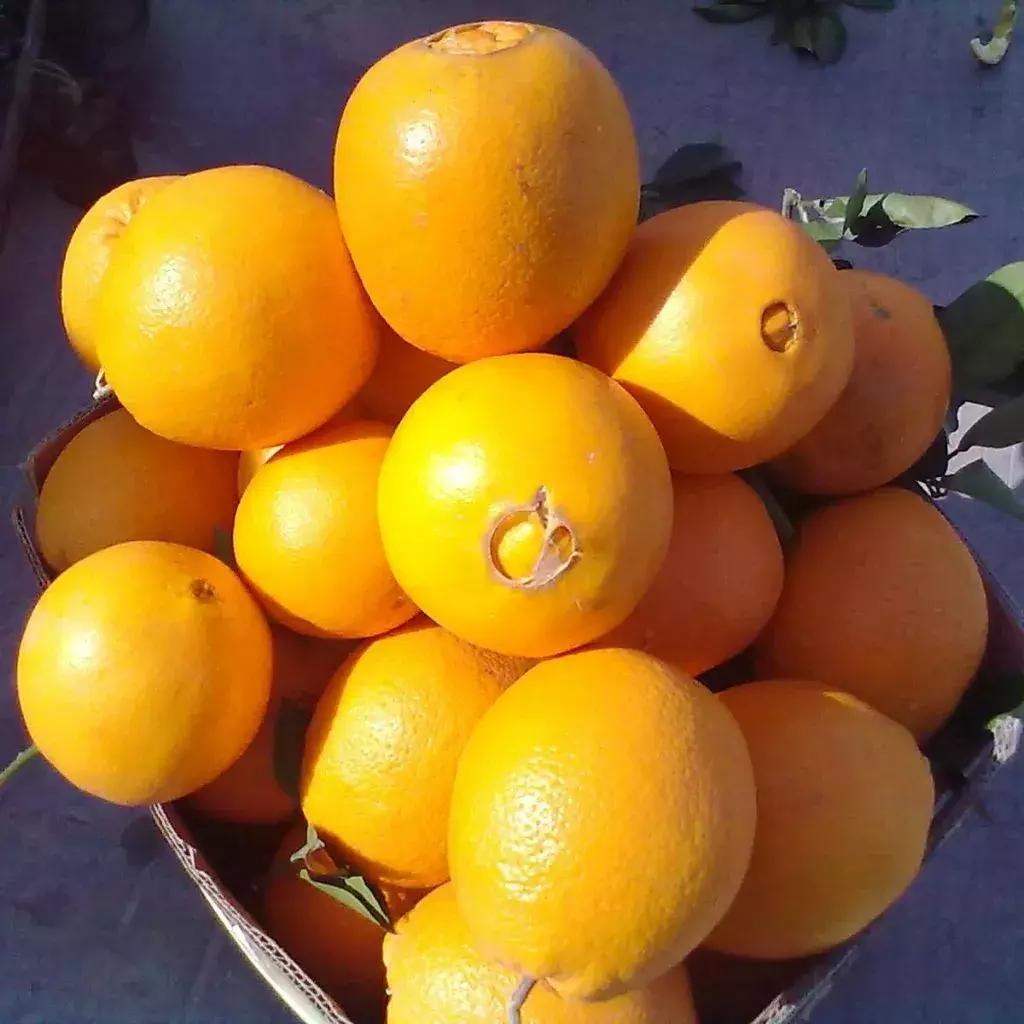 吃完橙子洗了手还是黏黏的,吃完橙子后用不用洗手