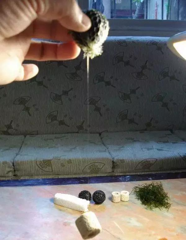 垂泪莫斯和三角莫斯火焰莫斯,莫斯水草球做法