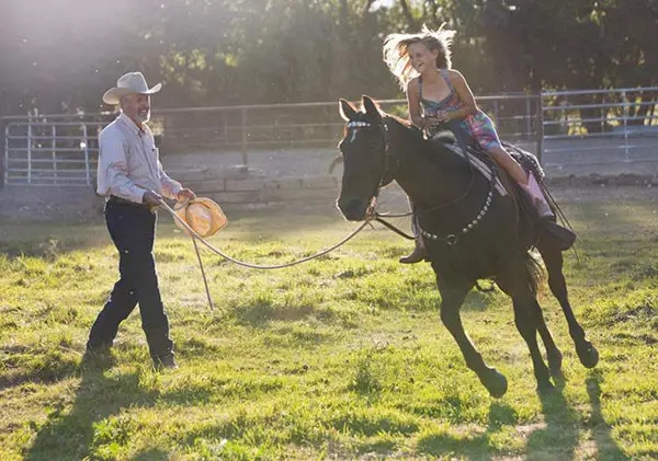马的训练和养护,怎么让马到成熟期