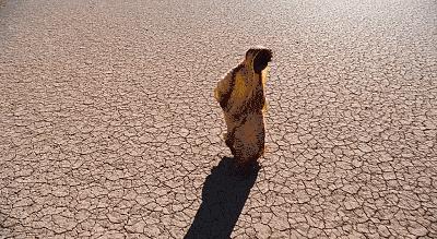 国外十大残忍酷刑 (世界上的残忍酷刑)