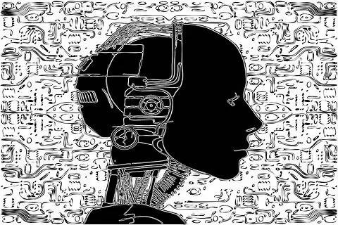 机器学习冒险之旅新手装备——ML规则和术语表