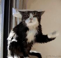 三八女神节专享福利来啦,三八女神节发什么福利