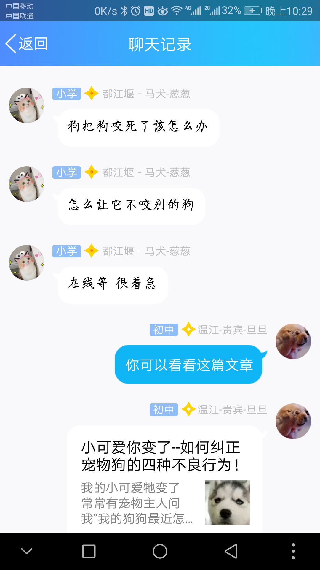 狗把猫咬死了怎么办,狗把鸡咬死了怎么办