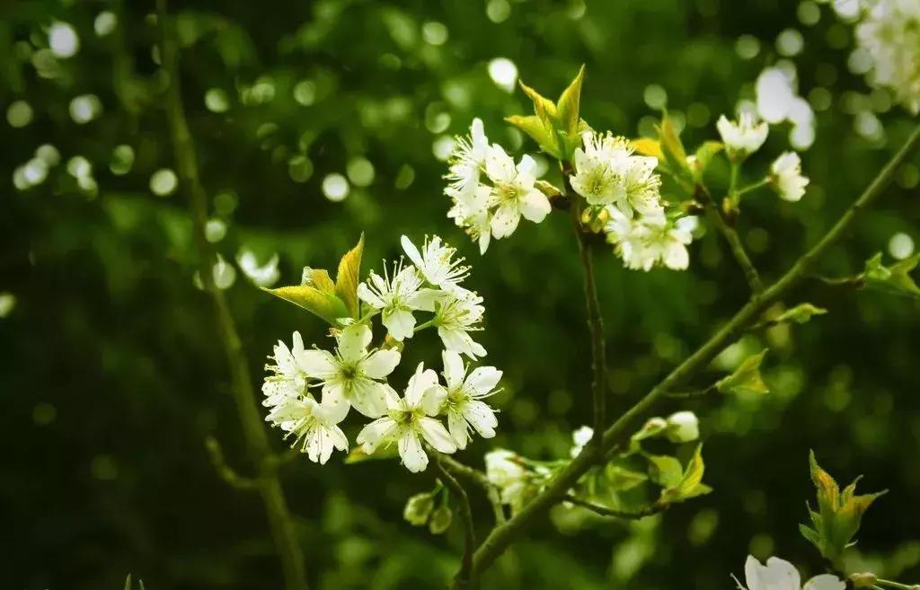 湖北仁禾瑞嘉实业有限公司,湖北仁禾瑞嘉实业有限公司好不好