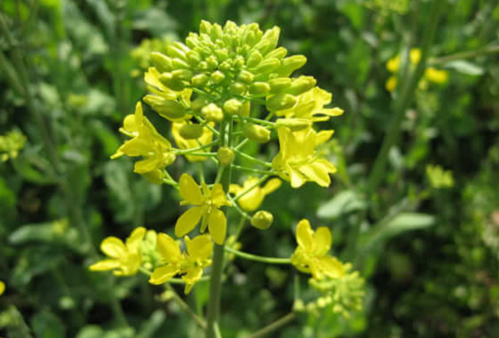 领导对你很防备,领导对你有这三个预兆