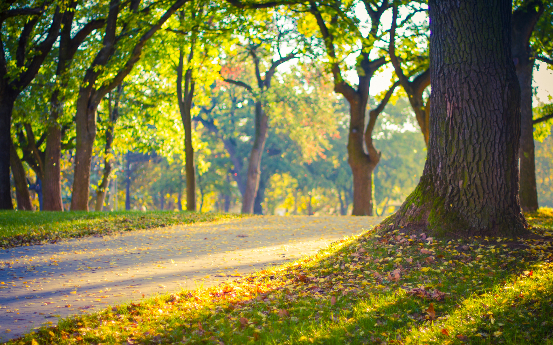 彼此都有家庭却深爱着对方怎么办,彼此都有家庭但还是爱上了