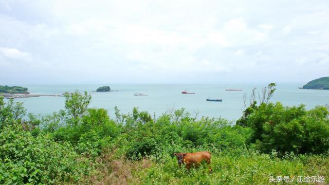 蓬莱火山岛,蓬莱有哪些火山岛景区