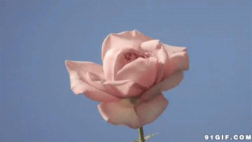 日常生活中的不健康行为,哪些行为导致月经不调