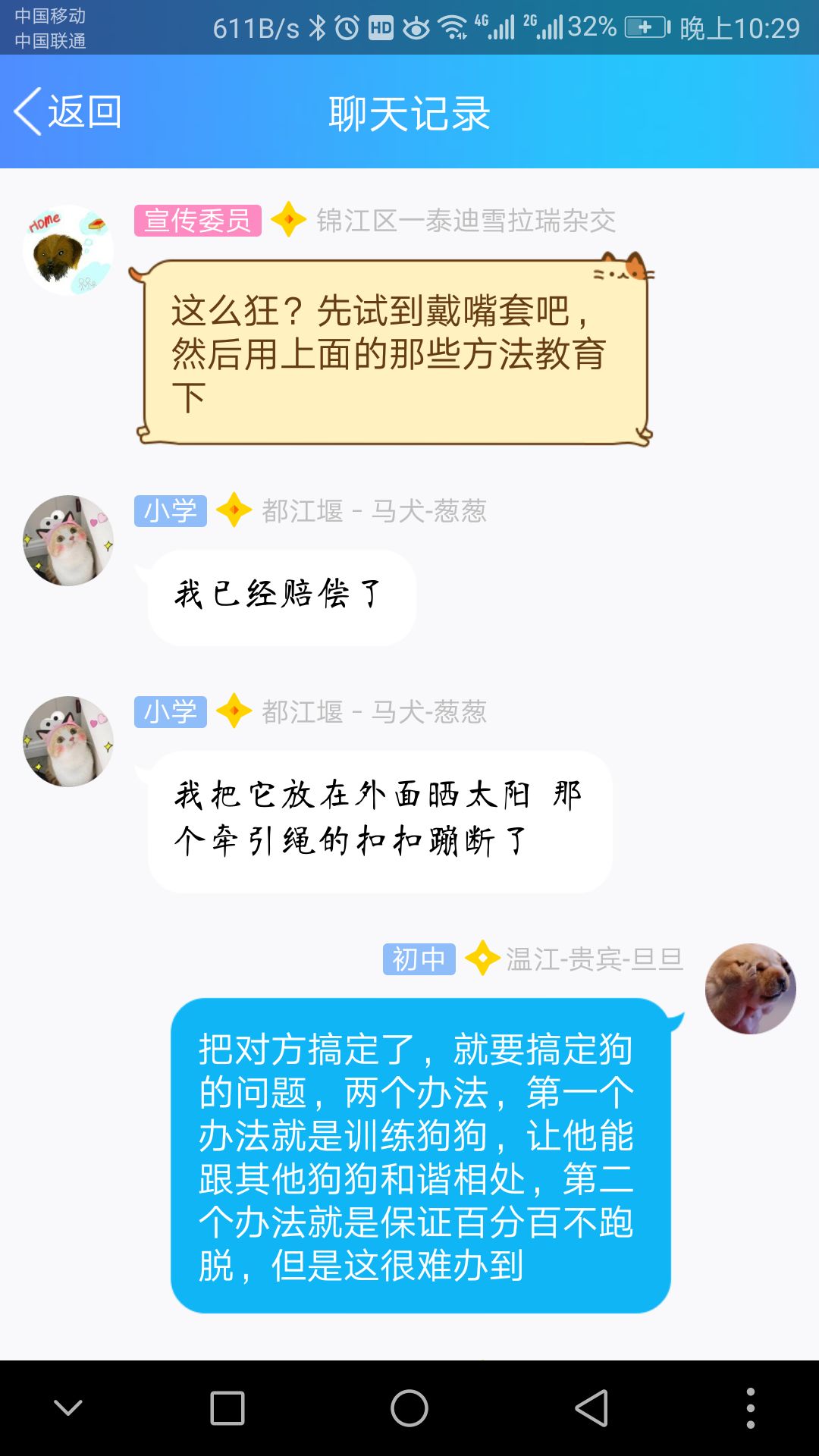 狗把猫咬死了怎么办,狗把鸡咬死了怎么办