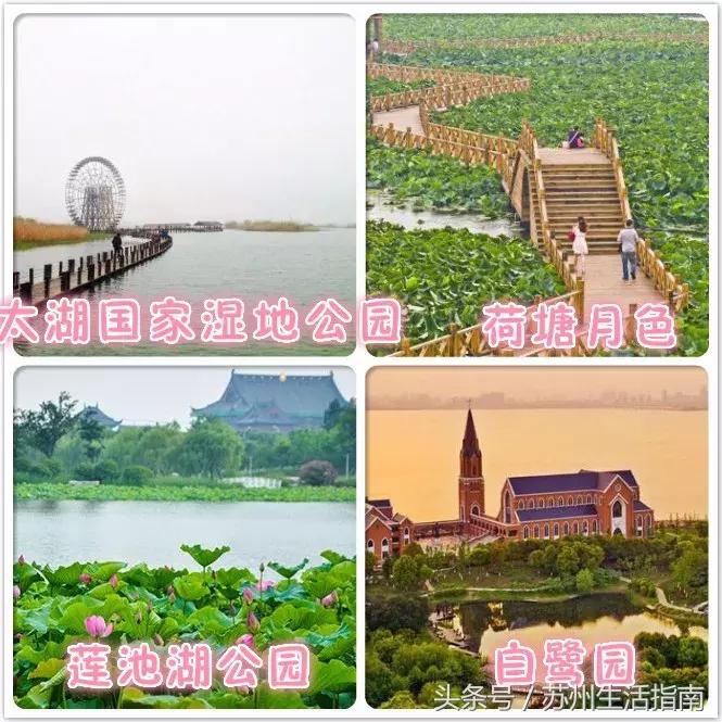 鏀跺ソ杩欎唤鏀荤暐甯︿綘浜彈瑙嗚鐩涘,鏀跺ソ杩欎唤鏃呰鏀荤暐