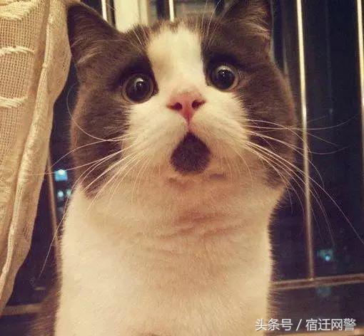 手机上打麻将微信支付被限制图片,手机上打麻将微信支付被限制了