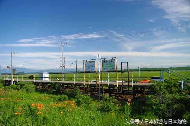 如何购买日本北海道jr通票,日本的jr通票是什么