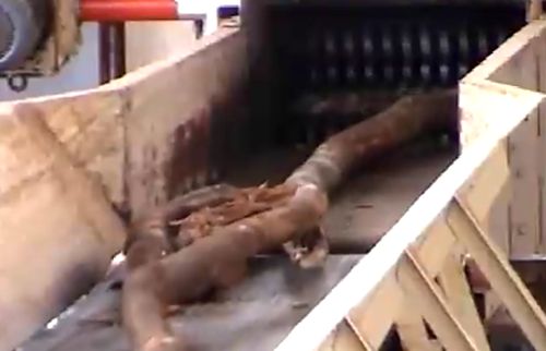 爱格板材是颗粒板吗,露水河康养板和爱格板的区别