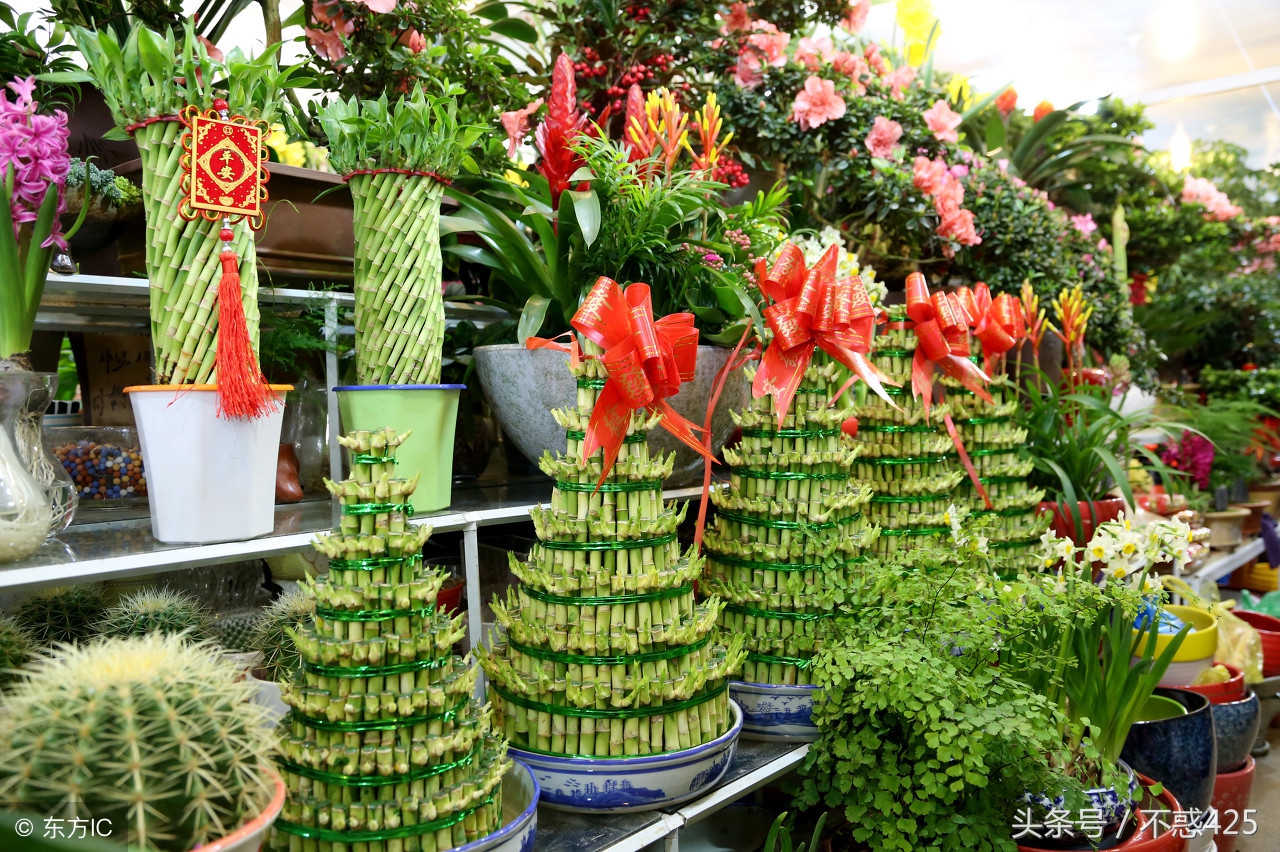 布置好财位帮您生财旺家,看看你家财位放了啥