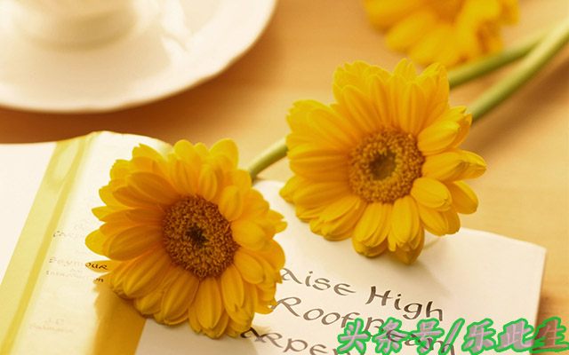 100个智慧生活小知识,100个实用生活小技巧拿走不谢