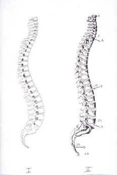 写好铅笔字基本笔画,写好铅笔字的口诀