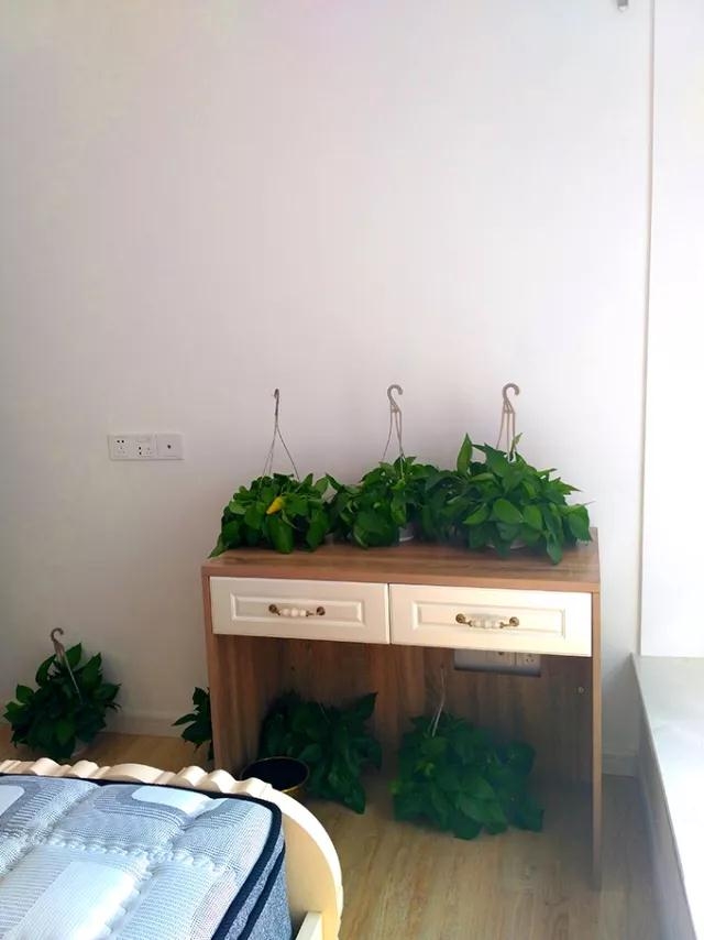 臻汇园259平,臻汇园21栋