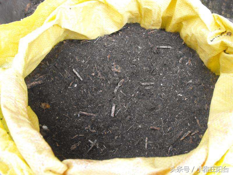 怎么给花土消毒除虫,种花前如何对花土消毒