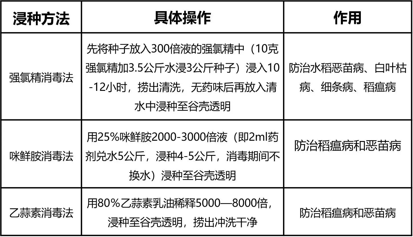 老司机快上车方法,老司机是如何收割水稻的