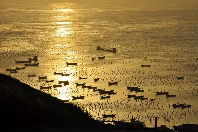 浙江自驾游小岛渔村,浙江小渔村旅游攻略2-3天短途旅游