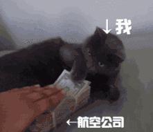 留学生国际机票哪里订便宜,留学生订机票攻略