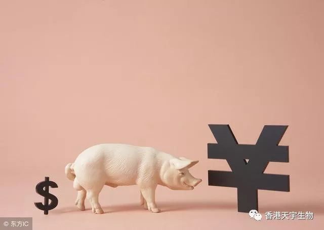 猪发低烧的正确治疗方法,猪反复发低烧怎么治