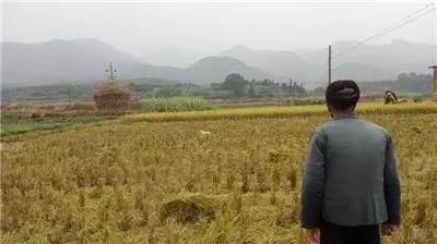 最美我家乡,最美我家乡原唱