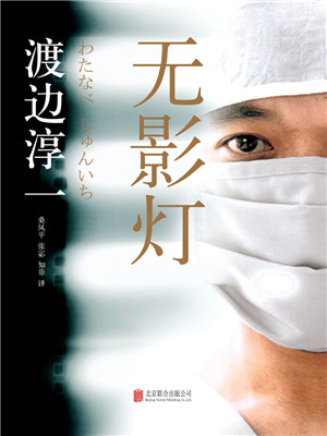 渡边淳一小说再爱一次,情爱大师小说