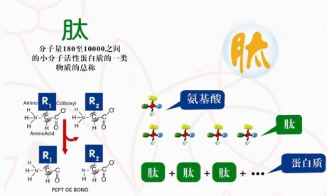 不要轻视糖友的决心：两年坚持天天吃苦瓜，然而。。。