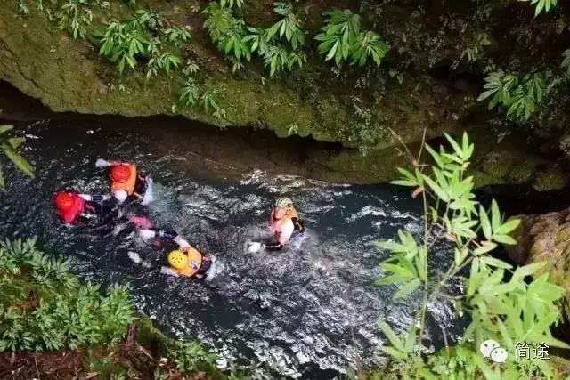 重庆生物地理答案,重庆水土生物研究